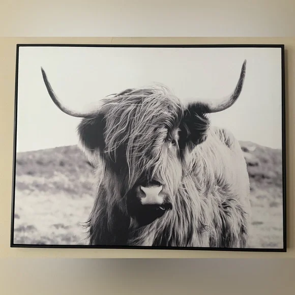 Black and White Highland Cow Wall Art - Picture 1 of 1